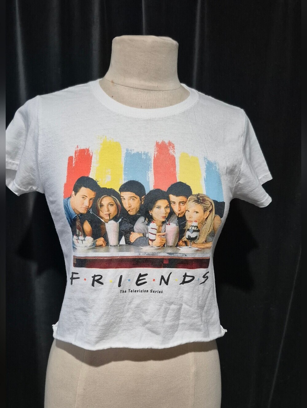 FRIENDS TV Series White Graphic Crop Tee (Box A)